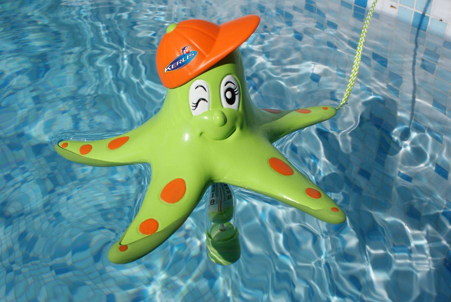 étoile de mer vert piscine thermomètre