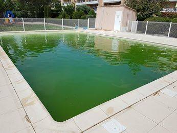 Rattrapage eau verte Ferré Piscines 13