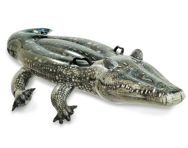 Alligator à chevaucher INTEX- Ferré piscines à Allauch