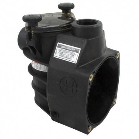 Corps De Pompe Hayward Max Flo 