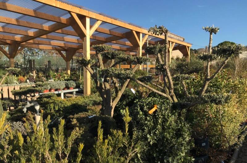 jardinerie du mail près de Ferré Pisicnes