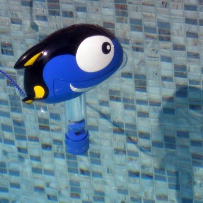 THERMOMETRE POISSON DORY de KERLIS- Ferre Piscines Marseille 13eme