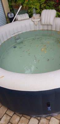 eau verte de spa - Ferré Piscines
