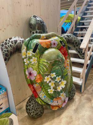 Magasin qui vend des bouées de piscines 
