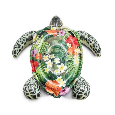 Tortue intex sur Marseille 