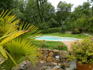 Piscine Antilles
