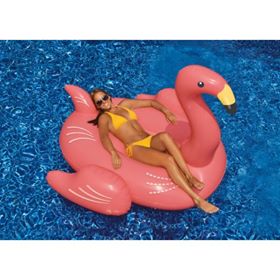 Ferré Piscines à Allauch-Flamant Rose Géant 