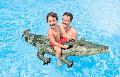 Alligator à chevaucher INTEX- Ferré piscines à Allauch