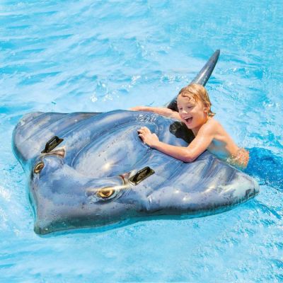 Raie Manta INTEX- Ferré Piscines 13