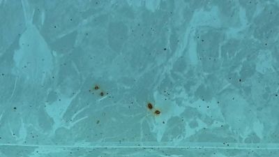 comment retire la rouille dans les piscines 